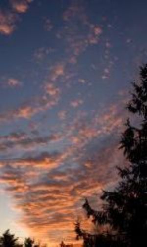 Dawn