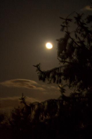 Moon in Dark